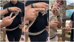 ಉರಗ ತಜ್ಞನಿಗೆ ಕಚ್ಚಿದ ಅಪರೂಪದ ಎರಡು ತಲೆ ಹಾವು..! ಆಮೇಲೆ ಏನಾಯ್ತು..?