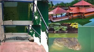 ಅನಂತ ಪದ್ಮಸ್ವಾಮಿ ದೇವಾಲಯದ ಪ್ರಾಂಗಣಕ್ಕೆ ಬಂದ ಮೊಸಳೆ:  ಬಬಿಯಾ ಮರುಜನ್ಮವೆತ್ತಿ ಬಂದಿದೆ ಎನ್ನುತ್ತಿರುವ ಭಕ್ತರು