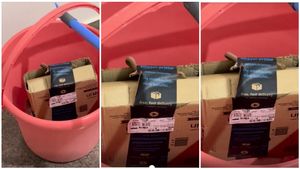 ಬೆಂಗಳೂರು ದಂಪತಿಗೆ ಆನ್‌ಲೈನ್‌ನಲ್ಲಿ ಬಂತು ಜೀವಂತ ನಾಗರಹಾವು..! ಆಮೇಲೆ ಆಗಿದ್ದೇನು?