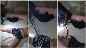 ಮಲಗಿದ್ದವನ ಚಡ್ಡಿಯೊಳಗೆ ಅವಿತಿತ್ತು ನಾಗರಹಾವು..! ಆಮೇಲೆ ಆಗಿದ್ದೇನು ನೋಡಿ!