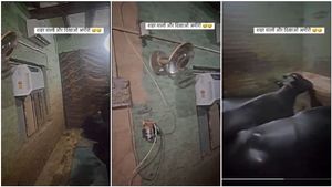 ಎಮ್ಮೆ ಕೊಟ್ಟಿಗೆಗೆ ಫ್ಯಾನ್-ಎಸಿ ಹಾಕಿಸಿದ ಹೃದಯವಂತ ರೈತ..! ವಿಡಿಯೋ ವೈರಲ್