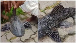 ಪ್ರವಾಹದಲ್ಲಿ ತೇಲಿಬಂದ ಬಂದ ನಾಲ್ಕು ಕಣ್ಣಿನ ಮೀನು: ವಿಡಿಯೋ ವೈರಲ್