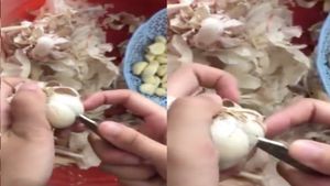 ಬೆಳ್ಳುಳ್ಳಿ ಸಿಪ್ಪೆ ಎಸೆಯೋದನ್ನು ನಿಲ್ಲಿಸಿ..! ಇಷ್ಟೊಂದು ಲಾಭವಿದೆ ನೋಡಿ.!