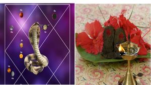 ಕಾಳ ಸರ್ಪ ದೋಷದಲ್ಲಿ 12 ವಿಧಗಳಿವೆ:  ಈ ದೋಷದಿಂದ ಉಂಟಾಗುವ ಪರಿಣಾಮವೇನು?