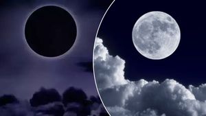 ಅಪರೂಪದ ವಿಶ್ವಘಸ್ರ ಪಕ್ಷ ಶುರುವಾಗಿದೆ: ಇದು ಅತ್ಯಂತ ಅಶುಭ, ಪ್ರಕೃತಿ ವಿಕೋಪ,  ರಾಜಕೀಯದಲ್ಲಿ ಏರಳಿತ ಕಂಡು ಬರುವುದು