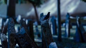 ಸತ್ತವರಿಗಾಗಿ ಸ್ಮಶಾನದಲ್ಲಿ ಸಿನಿಮಾ ಪ್ರದರ್ಶನ: ಈ ವಿಚಿತ್ರ ಆಚರಣೆ ನಡೆದಿದ್ದೆಲ್ಲಿ ಗೊತ್ತಾ?