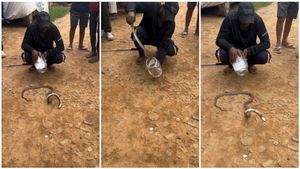 ಹಾವಿಗೂ ಹೃದಯಾಘಾತವಾಗುತ್ತಾ? ವೈರಲ್ ವಿಡಿಯೋದಲ್ಲಿ ಸೆರೆಯಾಗಿದ್ದು ಏನು?