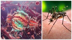 ಚಂಡಿಪುರ ವೈರಸ್‌ಗೆ ಅಸುನೀಗಿದ ನಾಲ್ವರು ಮಕ್ಕಳು..! ಇದರ ಲಕ್ಷಣವೇನು? ಹರಡುವುದು ಹೇಗೆ?