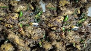  ಪೆಪ್ಪರ್‌ ಚಿಕನ್‌ ಫ್ರೈ ಹೀಗೆ  ಮಾಡಿ, ಯಾವ ರೆಸ್ಟೋರೆಂಟ್‌ ರುಚಿಗೂ ಕಮ್ಮಿಯಿಲ್ಲ