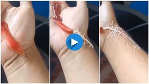 ಈ ರೀತಿಯ ಭಯಾನಕ ಜೀವಿಯನ್ನ ನೀವು ನೋಡಿದ್ದೀರಾ? ಪ್ರಾಣಿ ಲೋಕದ ವಿಸ್ಮಯವಿದು	..!