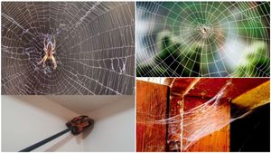 ಮನೆಯಲ್ಲಿ ಜೇಡರ ಹುಳು ಬಲೆ ಕಟ್ಟುತ್ತಿದ್ಯಾ? ಹೀಗೆ ಮಾಡಿದ್ರೆ ಇನ್ನೆಂದು ಕಟ್ಟುವುದಿಲ್ಲ..!