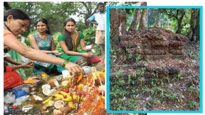 ನಾಗರ ಹಾವಿಗೂ ಇವೆ ಗೋರಿಗಳು..! ಬನಗಳು ಹುಟ್ಟಿಕೊಂಡಿದ್ದು ಏಕೆ ಗೊತ್ತಾ?