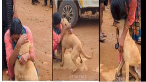 ವಯನಾಡ್‌ ದುರಂತದ 6 ದಿನಗಳ ಬಳಿಕ ಯಜಮಾನಿ ಸಿಕ್ಕಾಗ ನಾಯಿಗಾದ ಖುಷಿಯ ವೀಡಿಯೋ ವೈರಲ್