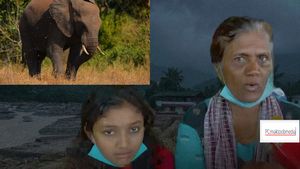 ವಯನಾಡ್‌: ಈ ಅಜ್ಜಿ-ಮೊಮ್ಮಗಳಿಗೆ ತನ್ನ ಕಾಲಡಿಯಲ್ಲಿ ರಕ್ಷಣೆ ನೀಡಿದ ಸಲಗ,  ಇವರ ಸ್ಥಿತಿ ನೋಡಿ ಆ ಕಾಡಾನೆಯೂ ಕಣ್ಣೀರು ಸುರಿಸುತ್ತಂತೆ