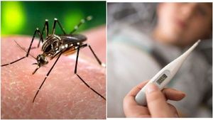 ಡೆಂಗ್ಯೂ ಸಾಂಕ್ರಾಮಿಕ ರೋಗ ಎಂದು ಘೋಷಿಸಿದ ರಾಜ್ಯ ಸರ್ಕಾರ..! ಹೊಸ ಮಾರ್ಗಸೂಚಿ ಪ್ರಕಟ