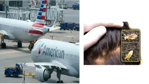 ತಲೆಯಲ್ಲಿ ಹೇನು ಕಂಡಿದ್ದಕ್ಕೆ ಎಮರ್ಜೆನ್ಸಿ ಲ್ಯಾಂಡ್ ಅದ ಫ್ಲೈಟ್‌? ಹೇನು ಅಷ್ಟೊಂದು ಡೇಂಜರಾ?