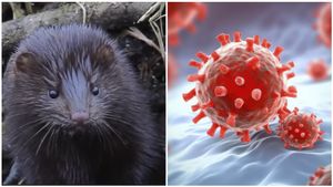 ಸಾಂಕ್ರಾಮಿಕವಾಗಿ ಬದಲಾಗಬಹುದಾದ ಮಿಕ್ ವೈರಸ್ ಪತ್ತೆ..! ಏನಿದು ಗೊತ್ತಾ?