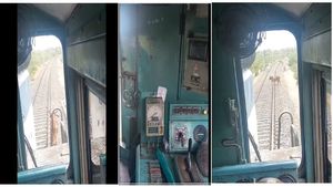 ಹಸುವಿನ  ಪ್ರಾಣ ಉಳಿಸಲು ರೈಲು ನಿಲ್ಲಿಸಿದ  ಲೋಕೋ ಪೈಲೆಟ್: ವೀಡಿಯೋಗೆ ಅಪಾರ ಮೆಚ್ಚುಗೆ