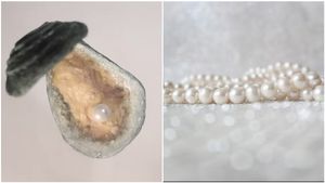 ಮನೆಯಲ್ಲೇ ಮುತ್ತು ಬೆಳೆದ ಸಾಹಸಿಗ: ವರ್ಷಕ್ಕೆ ₹10 ಲಕ್ಷ ಆದಾಯ..! ಬೆಳೆಯೋದು ಹೇಗೆ?