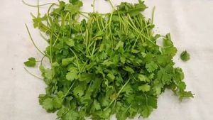 ಸೊಪ್ಪುಗಳನ್ನು ತಿಂಗಳ ಕಾಲ ಹಾಳಾಗದಂತೆ ಇಡಿ..! ತುಂಬಾ ಸಿಂಪಲ್ ಕೆಲಸ!