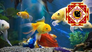 ಮನೆಯಲ್ಲಿ ನಕರಾತ್ಮಕ ಶಕ್ತಿ ದೂರ ಮಾಡಿ ಧನಾತ್ಮಕ ಶಕ್ತಿ ಹೆಚ್ಚಿಸಲು  ಫಿಶ್‌ ಅಕ್ವೇರಿಯಂ ಯಾವ ದಿಕ್ಕಿನಲ್ಲಿಡಬೇಕು?