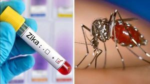 ಬರೋಬ್ಬರಿ 500 ಮಂದಿಗೆ ಝಿಕಾ ವೈರಸ್ ಪತ್ತೆ..! ಇದು ಹರಡುವುದು ಹೇಗೆ?