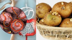 ಮೊಳಕೆ ಬಂದಿರುವ ಆಲೂಗಡ್ಡೆ ಸವಿಯಬಹುದೇ.? ಏನೆಲ್ಲಾ ಹಾನಿ ಇದೆ ಗೊತ್ತಾ?