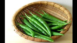 ಹಸಿ ಮೆಣಸು ಹೀಗೆ  ಇಟ್ಟರೆ  ಎರಡು ತಿಂಗಳಾದರೂ ಹಾಳಾಗಲ್ಲ, ಫ್ರೆಷ್‌ ಟೇಸ್ಟ್ ಕೊಡುತ್ತೆ