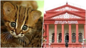 ಪತಿ ತನಗಿಂತ ಸಾಕಿದ ಬೆಕ್ಕನ್ನೇ ಕಾಳಜಿಯಿಂದ ನೋಡ್ತಾನೆ: ಕೋರ್ಟ್ ಮೆಟ್ಟಿಲೇರಿದ ಮಹಿಳೆ..!