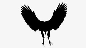 Optical Illusion: ಈ ಚಿತ್ರದಲ್ಲಿ ನೀವು ಮೊದಲು ಏನು ನೋಡಿದ್ದೀರಿ? ನಿಮ್ಮ ವ್ಯಕ್ತಿತ್ವ ಎಂತದ್ದು?