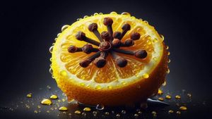 ಇಡೀ ಮನೆಯಲ್ಲಿ ಒಂದೂ ಕೀಟ ಇರದಂತೆ ಮಾಡಲು ಇಲ್ಲದೆ 8 ಟಿಪ್ಸ್‌..!!