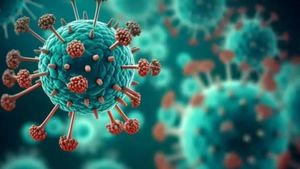 ಭಾರತದಲ್ಲಿ HMPV ವೈರಸ್‌ನ 3 ಪ್ರಕರಣ ಪತ್ತೆ..! ಆತಂಕದ ಅಗತ್ಯವಿಲ್ಲ ಎಂದ ಸರ್ಕಾರ..!