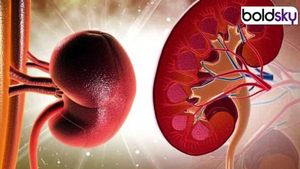 ಬೆಳಗ್ಗೆ ಎದ್ದಾಗ  ಶರೀರದಲ್ಲಿ  ಈ ಲಕ್ಷಣಗಳು ಕಂಡು ಬಂದರೆ ಕಿಡ್ನಿ ಆರೋಗ್ಯ ಜೋಪಾನ!!