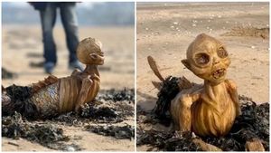 ಮಾರ್ಗೇಟ್ ಸಮುದ್ರ ತೀರದಲ್ಲಿ ವಿಚಿತ್ರ ಜೀವಿ ಪತ್ತೆ..! ಉತ್ತರ ಸಿಗದೆ ಶಾಕ್ ಆದ ಮಂದಿ..!