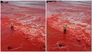 ಕಡು ಕೆಂಪು ಬಣ್ಣಕ್ಕೆ ತಿರುಗಿದ ಇರಾನ್ ಸಮುದ್ರ..! ವಿಡಿಯೋ ನೋಡಿದರೆ ಅಚ್ಚರಿ ಆಗೋದು ಖಚಿತ
