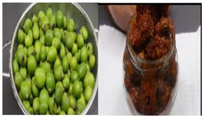 ಮಿಡಿ ಮಾವಿನಕಾಯಿ ಉಪ್ಪಿನಕಾಯಿ  ಹೀಗೆ  ಮಾಡಿದರೆ  ವರ್ಷದವರೆಗೆ ಇಡಬಹುದು