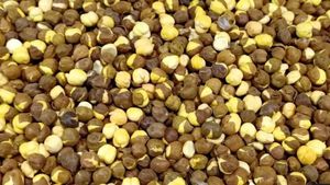 ಮಸಾಲೆ ಹುರಿಗಡಲೆ ಮಾಡೋಕೆ 1 ವಸ್ತು ಇದ್ರೆ ಸಾಕು..! ಮಾಡೋದು 2 ನಿಮಿಷದ ಕೆಲಸ!