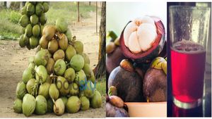 ಎಳನೀರಿನ ಬೆಲೆ  ದುಬಾರಿ,  ಎಳನೀರಿಗೆ  ಪರ್ಯಾಯವಾಗಿ ದೇಹ ತಂಪಾಗಿಡಲು ಯಾವ ಪಾನೀಯ ಒಳ್ಳೆಯದು?