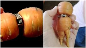 16 ವರ್ಷದ ಹಿಂದೆ ಕಳೆದಿದ್ದ ಉಂಗುರ ಕ್ಯಾರೆಟ್‌ನಲ್ಲಿ ಸಿಕ್ತು! ಇದೆಂಥ ರೋಚಕ ಕಥೆ ಗೊತ್ತಾ?