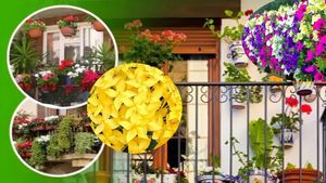 ಬಾಲ್ಕನಿ ಸುಂದರಿಯರು! ಜೂನ್‌ನಲ್ಲಿ ಈ ಸಸ್ಯ ನೆಡಿ.. ವರ್ಷಪೂರ್ತಿ ಹೂವುಗಳನ್ನು ಕಣ್ತುಂಬಿಕೊಳ್ಳಿ