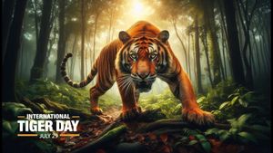 ಕರ್ನಾಟಕದ ಹೆಮ್ಮೆ.. ಟಾಪ್ 5 ಹುಲಿ ಸಂರಕ್ಷಿತಾರಣ್ಯಗಳು! ನೀವು ಭೇಟಿ ನೀಡಲೇಬೇಕು