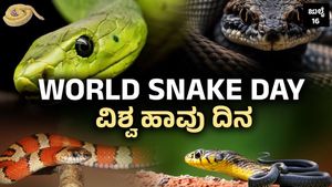 World Snake Day: ಹಾವುಗಳ ನಿಗೂಢ ಜಗತ್ತು! ಎಷ್ಟು ತಿನ್ನುತ್ತವೆ? ರಾತ್ರಿ-ಹಗಲು ಏನು ಮಾಡುತ್ತವೆ? ರೋಚಕ ಸತ್ಯಗಳು