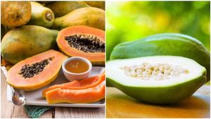 ಪಪ್ಪಾಯ ಯಾವಾಗಲು ಅಮೃತದಂತಲ್ಲ..! ವಿಷವಾಗಿಯೂ ಕಾಡಬಹುದು..! 