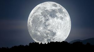 ಚಂದ್ರನ ಜೊತೆಗೆ ಭೂಮಿಗಿದೆ ಮತ್ತೊಂದು ಸಂಗಾತಿ ಪತ್ತೆ: ಇದು ಅತ್ಯಂತ ಸಣ್ಣ ಕ್ಷುದ್ರಗ್ರಹ 