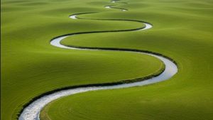 ಇದು ವಿಶ್ವದ ಚಿಕ್ಕ ನದಿ: ಒಂದು ಹೆಜ್ಜೆಯಲ್ಲಿ ನೀವು ದಡ ಮುಟ್ಟಬಹುದು! ಎಲ್ಲಿದೆ ಗೊತ್ತಾ?