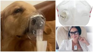 ಮಾಲಿನ್ಯ ತಡೆಯೋಕೆ ಏರ್‌ಪ್ಯೂರಿಫೈಯರ್ ಸಹಾಯವಾಗುತ್ತಾ? ದೆಹಲಿಯಲ್ಲಿ ನಾಯಿಗೂ ನೆಬ್ಯೂಲೈಸರ್!