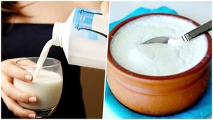 ಚಳಿಗಾಲದಲ್ಲಿ ಗಟ್ಟಿ ಮೊಸರು ಮಾಡುವುದು ಹೇಗೆ? ಇಲ್ಲಿದೆ ಸಿಂಪಲ್ ವಿಧಾನ