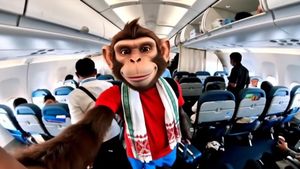 ಎಐ ಮೂಲಕ ವಿಡಿಯೋ ಮಾಡಿ 38 ಕೋಟಿ ರೂ.ಗಳಿಸಿದ ಭಾರತದ ಯೂಟ್ಯೂಬ್ ಚಾನಲ್!