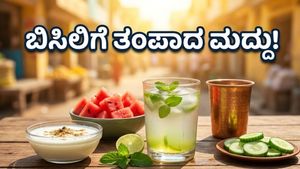 ಹೀಟ್ ವೇವ್ ಎಚ್ಚರಿಕೆ: ಬಿಸಿಲಿನ ಬೇಗೆಯಿಂದ ಬಚಾವಾಗಲು ಈ ಪಾನೀಯಗಳೇ ಮದ್ದು!