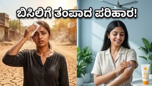 ಬಿಸಿಲಿನ ಬೇಗೆಗೆ ತತ್ತರಿಸಿದ್ದೀರಾ? ಸೋಶಿಯಲ್ ಮೀಡಿಯಾದಲ್ಲಿ ವೈರಲ್ ಆಗುತ್ತಿರುವ ಈ ಕೂಲಿಂಗ್ ಹ್ಯಾಕ್ಸ್ ಮಿಸ್ ಮಾಡ್ಬೇಡಿ!